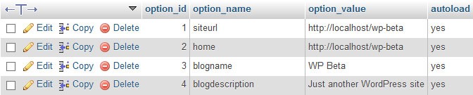 Thay đổi tên miền trong WordPress options