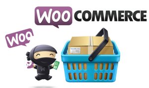 WOOCOMMERCE LÀ GÌ?