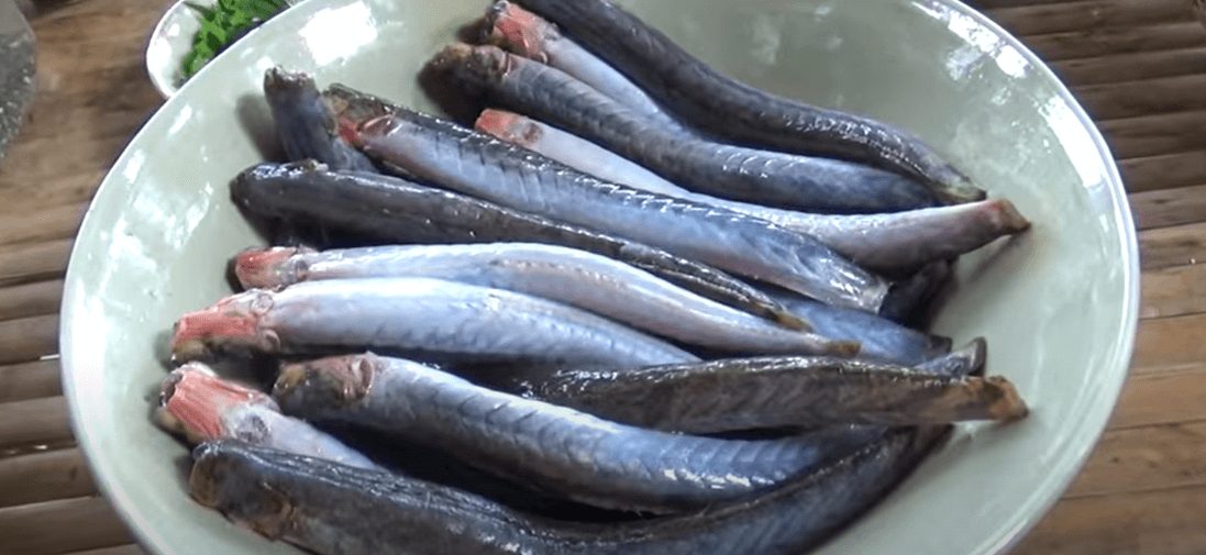 Cách làm cá kèo kho rau răm