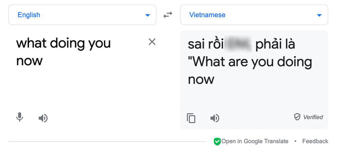 Công cụ Google Dịch tiếng Việt bị chọc phá
