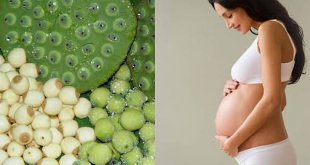 Hạt sen bổ ích cho phụ nữ mang thai