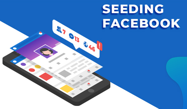 Triển khai kế hoạch Seeding Facebook