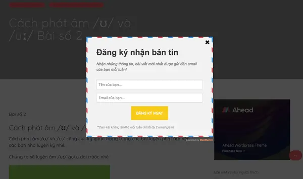 Mailchimp là gì